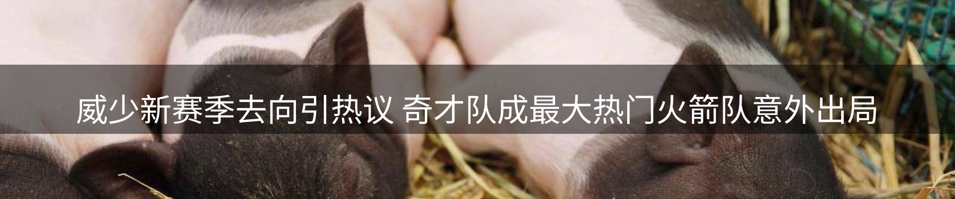 龙八头号玩家要闻