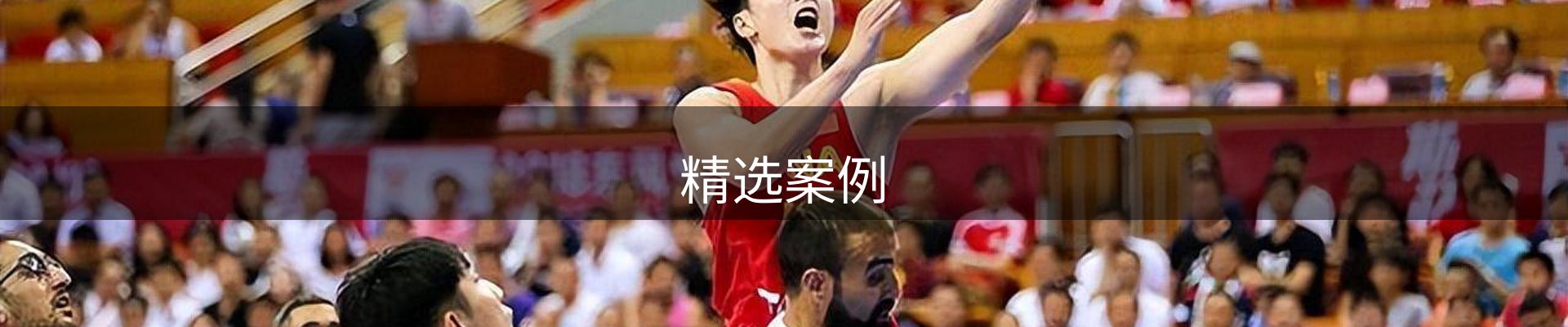 精选案例